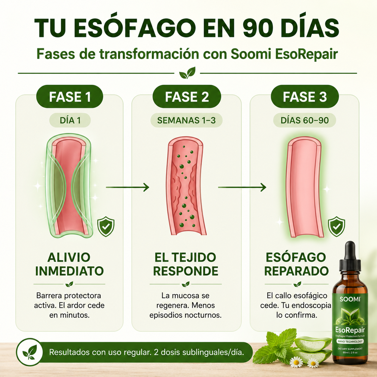 Soomi EsoRepair™: La solución para los amantes del Mate - Reparador Esofágico